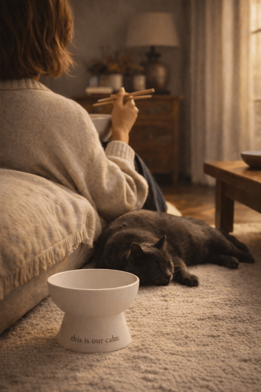 Soirée Bowl — Bol de porcelana mate